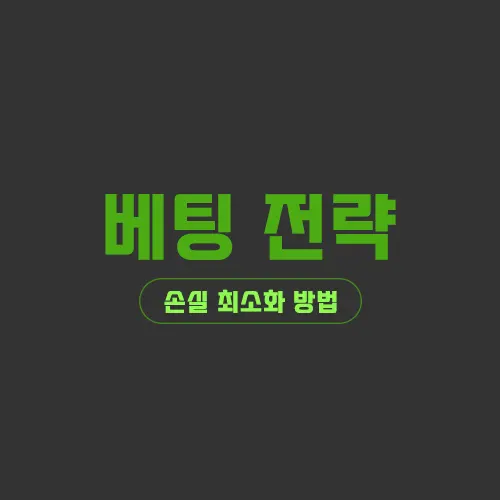 베팅 전략 - 손실 최소화 방법